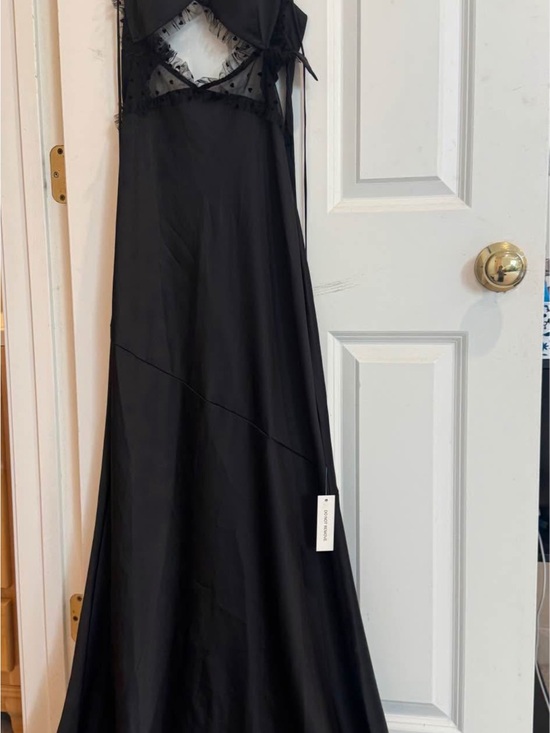 For Love And Lemons Dresses & Skirts - Elegant Black Slip Dress with Sheer Insets